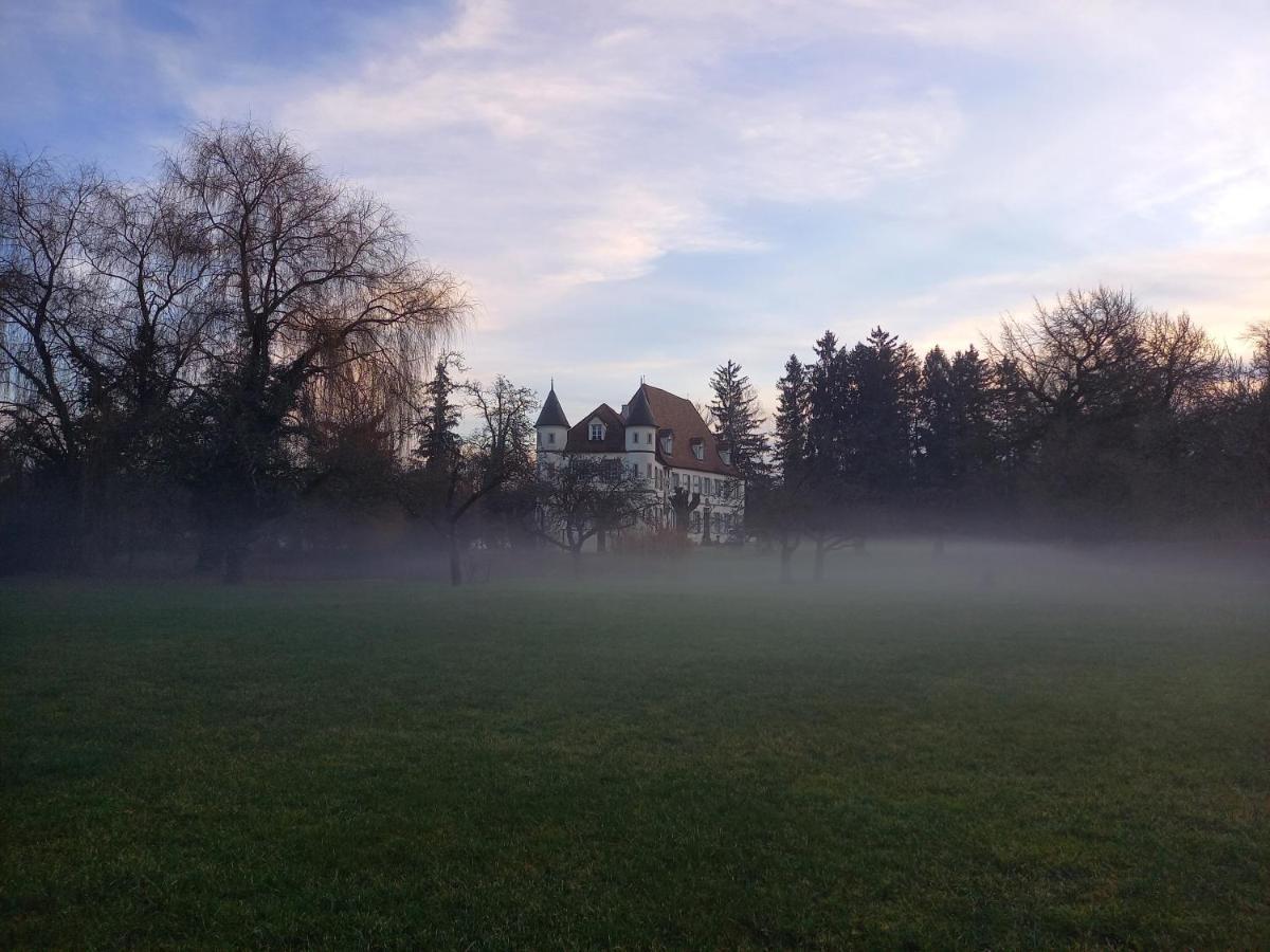 Chateau De Werde Matzenheim Екстер'єр фото