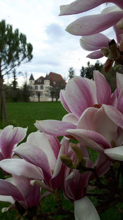 Chateau De Werde Matzenheim Екстер'єр фото