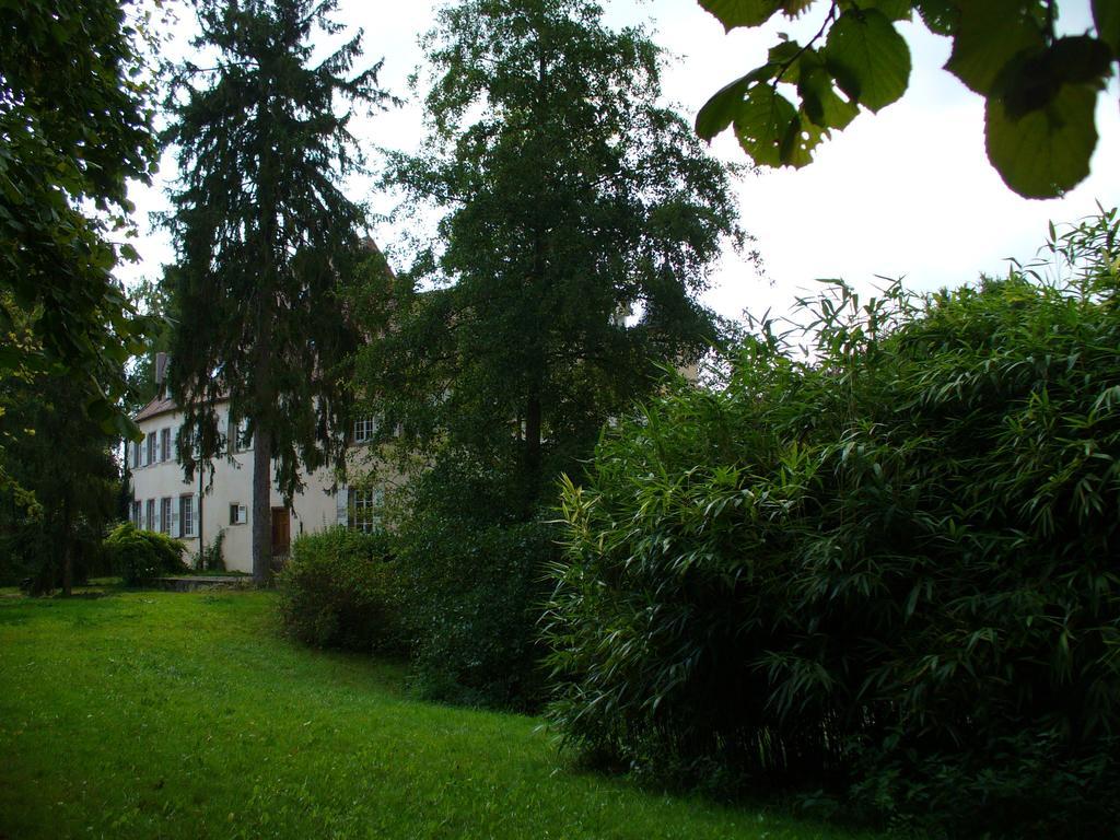 Chateau De Werde Matzenheim Екстер'єр фото