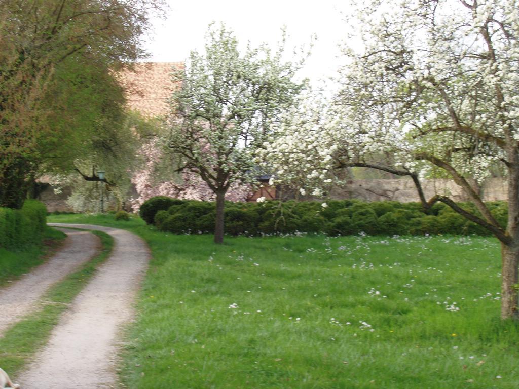 Chateau De Werde Matzenheim Екстер'єр фото